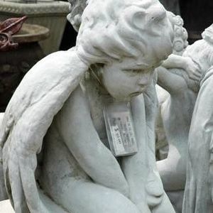 Meet your Posher, Genevieve